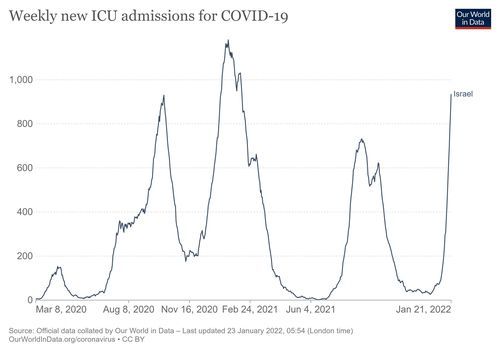 이스라엘의 코로나19 중증환자 수 추이.[아워월드인데이터 홈페이지 캡처. 재판매 및 DB 금지]