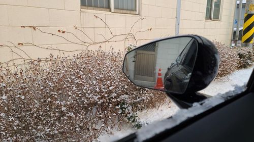 폴스타 2 프레임리스 사이드미러[최평천 촬영]