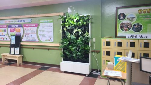 초등학교 안 수직 정원[안성시 제공. 재판매 및 DB금지]