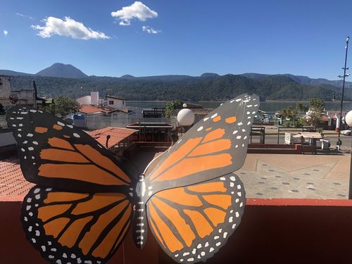 멕시코 바예데브라보의 제왕나비 조형물 (바예데브라보[멕시코]=연합뉴스) 고미혜 특파원 = 멕시코 중부 도시 바예데브라보에 설치된 제왕나비 조형물. 2022.2.6. mihye@yna.co.kr