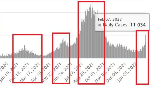 말레이시아의 코로나19 일일 확진자 변화 추이[월드오미터, 재판매 및 DB금지]