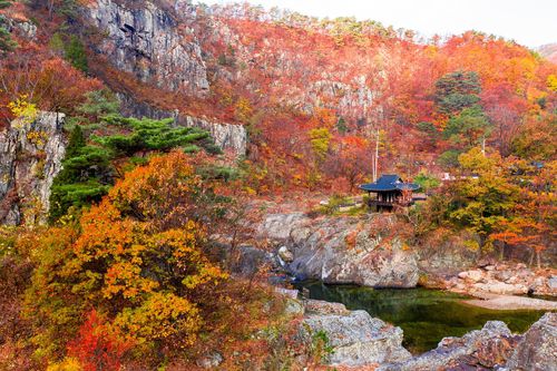 영덕 옥계 침수정의 가을[영덕군 제공. 재판매 및 DB 금지]