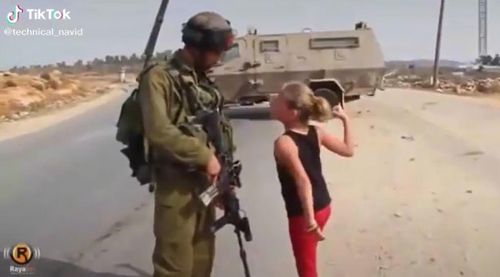 "너희 나라로 돌아가라..이스라엘로"[틱톡 캡처. 재판매 및 DB 금지