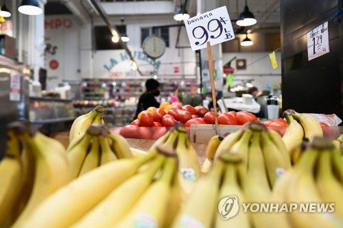 [AFP=연합뉴스 자료사진]