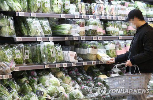 먹거리 물가 비상…농축수산물 수입물가 3개월째 30%대 상승 [연합뉴스 자료사진]