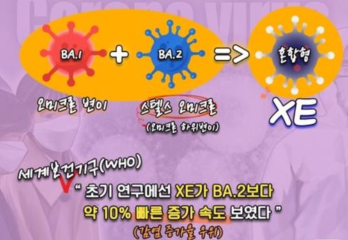 오미크론 변이+스텔스 오미크론 = XE 변이[연합뉴스 포켓사전, 재판매 및 DB금지]