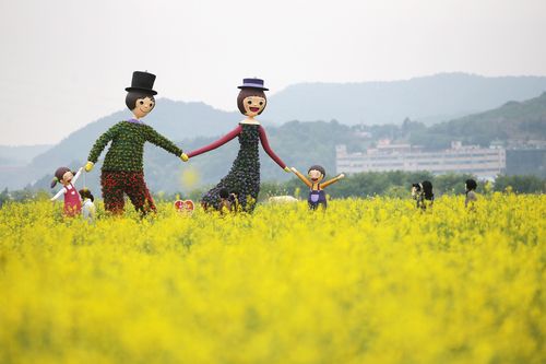 마산해양신도시 유채꽃밭[창원시 제공. 재판매 및 DB 금지]