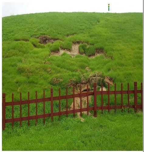 집중호우 이후 선릉의 모습 [문화재청 제공. 재판매 및 DB 금지]