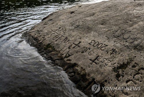 2018년 독일 피르나 인근 엘베강에서 목격된 기근석 [EAP 연합뉴스 자료사진. 재판매 및 DB 금지]
