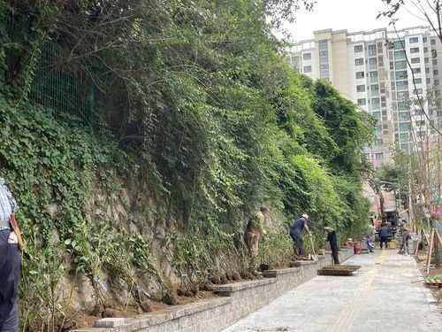성남시의 한 초등학교 건물 주변 석축에 균열이 발생해 진행 중인 보수공사[독자 제공. 재판매 및 DB 금지]