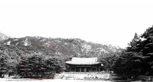 경복궁 융문당 전경 사진 융문당 주변에 반송으로 추정되는 수목(붉은 원)이 확인됨. [국립중앙박물관 제공. 재판매 및 DB 금지]