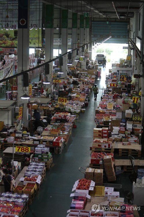 추석 앞둔 광주 서부농수산물시장 한산(광주=연합뉴스) 차지욱 기자 = 26일 오전 광주 서구 매월동 서부농수산물시장 청과물동이 추석을 앞두고 한산하다. 2022.8.26 uk@yna.co.kr