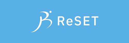 디지털 성범죄 피해 지원 단체 '프로젝트 리셋(ReSET)'[리셋 SNS 캡처. 재판매 및 DB 금지]