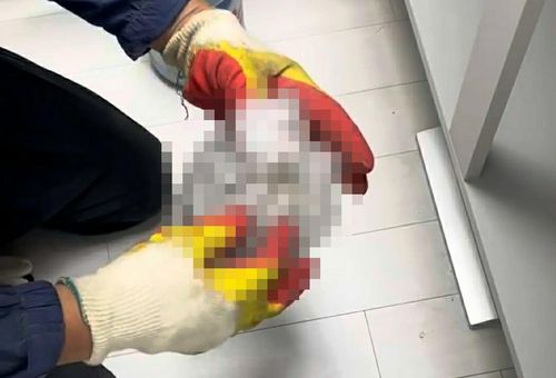 인분 처리하는 아파트 관리 직원 제보자 A씨 제공. 재판매 및 DB 금지.