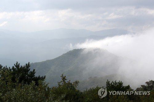 '금강산이 한눈에'…70년 만에 발길 허락한 인제 DMZ 평화의 길[연합뉴스 자료사진. 재판매 및 DB 금지]