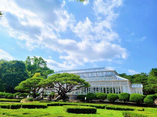 창경궁 대온실 모습 [문화재청 제공. 재판매 및 DB 금지]