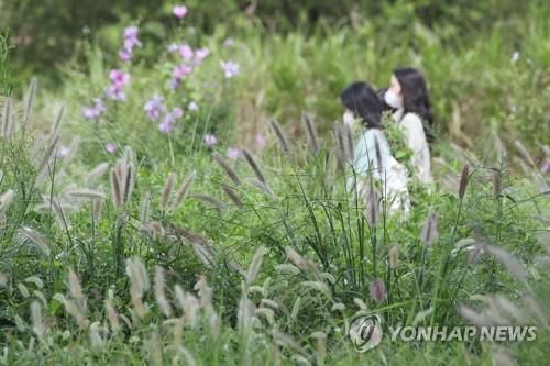 걷기 좋은 가을[연합뉴스 자료사진]