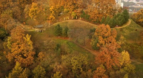 공주 공산성의 가을 풍경[공주시 제공. 재판매 및 DB 금지]