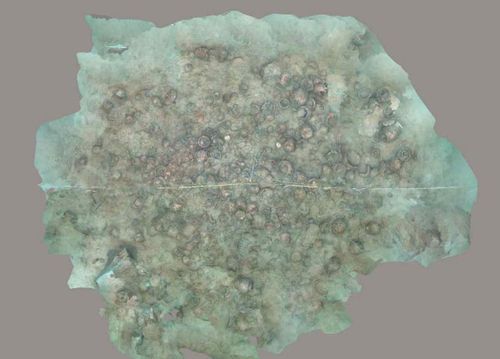 해역에 침몰한 옹기운반선 상태[국립해양문화재연구소 제공·재판매 및 DB 금지]