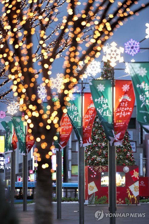 화려한 조명으로 단장한 강릉 월화거리[연합뉴스 자료사진]