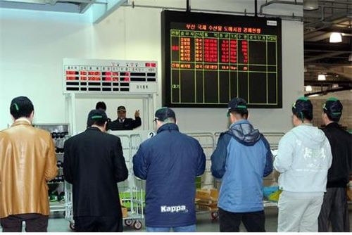 부산국제 농수산물 도매시장 [해양수산부 제공, 재판매 및 DB 금지]