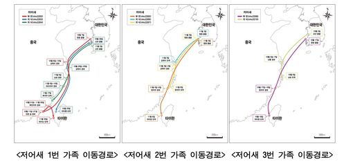 저어새 가족의 이동경로[국립문화재연구원 제공. 재판매 및 DB 금지]