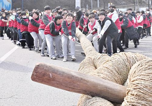 2023 삼척정월대보름제 삼척기줄다리기[삼척시 제공.재판매 및 DB 금지]