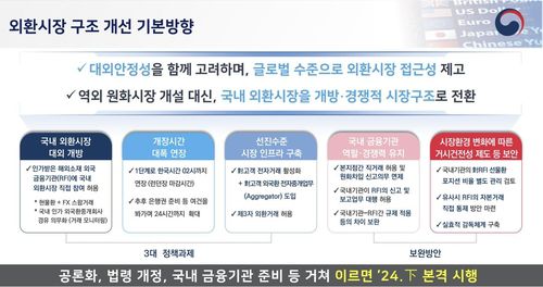 외환시장 구조 개선 기본방향[기획재정부 제공. 재판매 및 DB 금지]