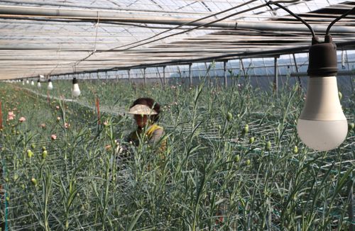 대목에 전기세 급증[촬영 박성제]