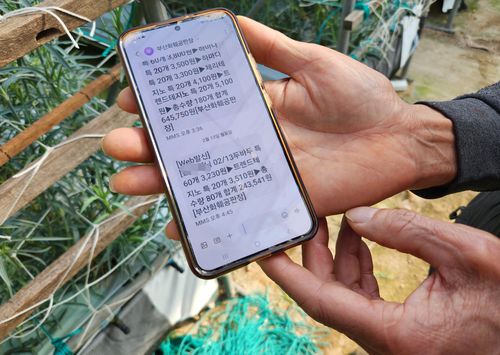 급락한 경매가[촬영 박성제]