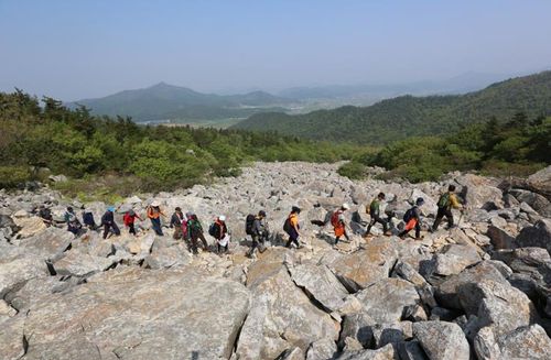 달마고도 트레킹[해남군 제공·재판매 및 DB 금지]