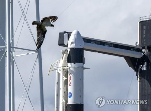 스페이스X 팰컨9 로켓에 실린 '크루 드래건' 유인 캡슐[UPI 연합뉴스. 재판매 및 DB 금지]