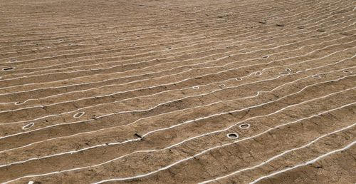 조치원비행장 이전 부지에서 발견된 경작 흔적[세종시 제공. 재판매 및 DB 금지]