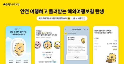 [카카오페이손해보험 제공]