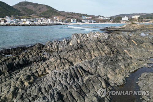 포항 오도리 주상절리[포항시 제공]