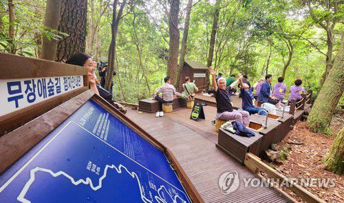 제주 농인들의 오색 블루스 여행[연합뉴스 자료사진]