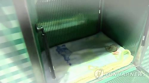 베이비박스연합뉴스TV 캡처. 작성 이충원(미디어랩)