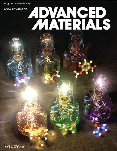 어드밴스트 머티리얼스 표지 논문[김동성 교수 제공. 재판매 및 DB 금지]
