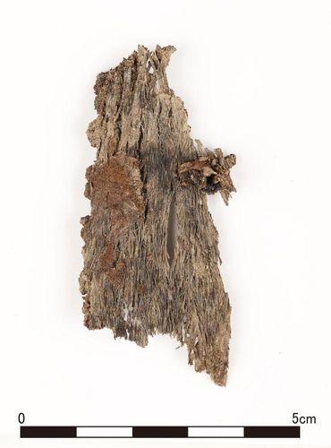 금동관 주변에서 나온 머리카락[국립경주문화재연구소 제공. 재판매 및 DB 금지]