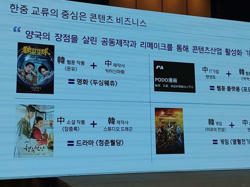 치코포럼에서 소개된 한중 콘텐츠 교류 사례[촬영 조준형]