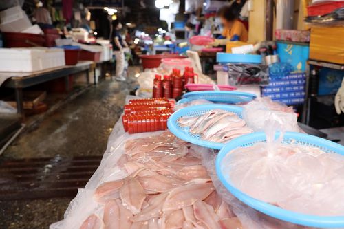 9일 오후 한산한 포항 죽도시장 어시장 골목[촬영 손대성]