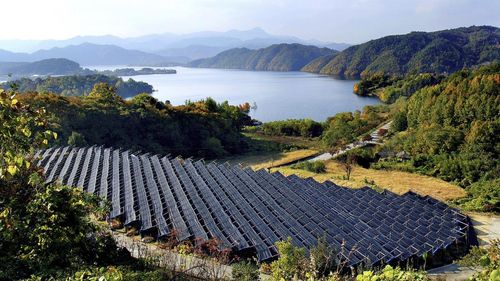 인삼 밭[문화재청 제공. 재판매 및 DB 금지]