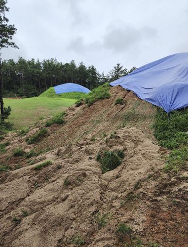 사적 '부여 왕릉원' 피해 현황 [문화재청 제공. 재판매 및 DB 금지]