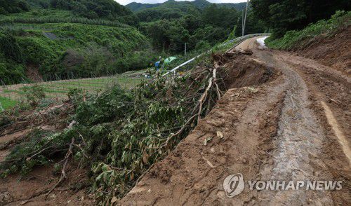 나무 뽑히고, 땅 꺼진 산사태 현장(예천=연합뉴스) 김동민 기자 = 17일 오후 경북 예천군 효자면 산사태 피해 현장 일대에 나무가 뽑히고, 땅이 꺼져있다. 2023.7.17 image@yna.co.kr
