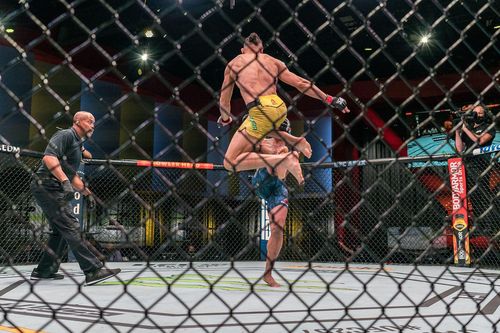 새처럼 날아서 강하게 가격하는 페헤이라[UFC 제공. 재판매 및 DB 금지]