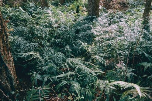 제주올레 14-1코스[제주올레 제공, 재판매 및 DB 금지]