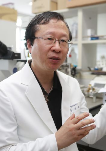 인터뷰하는 김성철 교수[촬영: 임채두 기자]