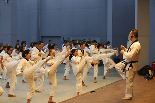 함께 해보는 태권도 (용인=연합뉴스) 13일 한국민속촌 강당에서 룩셈부르크 스카우트 대원들이 태권도를 직접 해보고 있다. [한국민속촌 제공. 재판매 및 DB 금지]