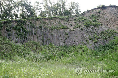 포항 달전리 주상절리[촬영 손대성]