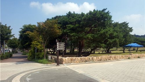 담 정비 진행 중인 정림사지[부여군 제공. 재판매 및 DB 금지]